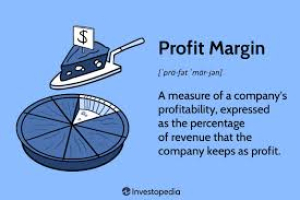 To Regulate or not to Regulate Retail Profit-Margins on Turnover? That is the Question!